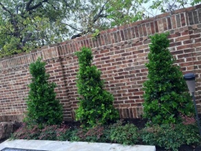 Кирпичный забор сплошной 12 метров фото в Первомайске